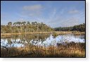 Oisterwijkse Bossen en Vennen Kampina natuurgebied natuur oisterwijk Nationaal park Landschap Het Groene Woud hei heide bossen natuurmonumenten brabant baronie boswachterij dorst